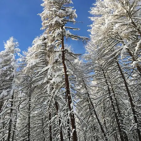Gasthof Grand Golliat Ristorante E Chambres D'hotes *